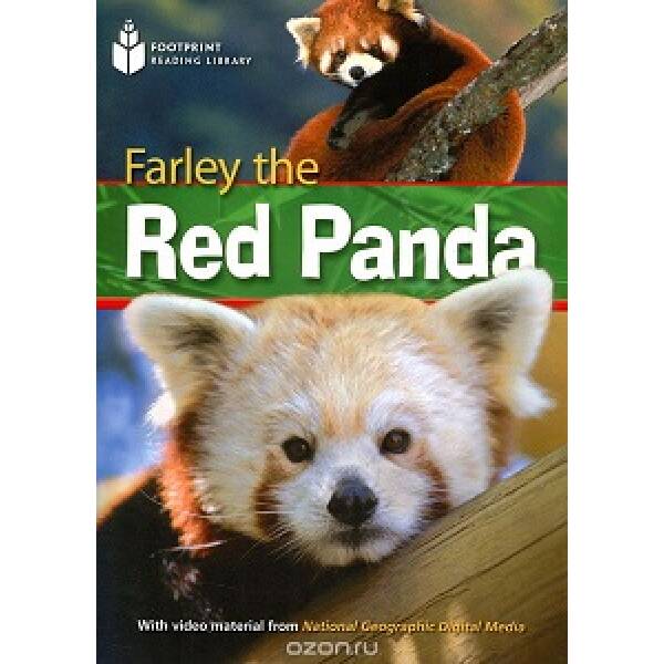 FRL1000 A2 Farley the Red Panda