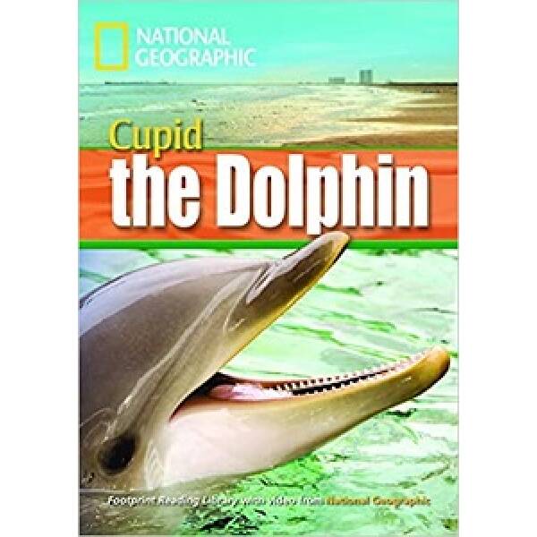 FRL1600 B1 Cupid the Dolphin