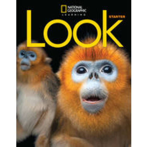 Look Starter SB British English