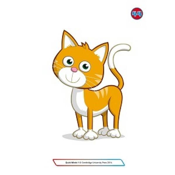 Quick Minds (Ukrainian edition) НУШ 1 Flashcards