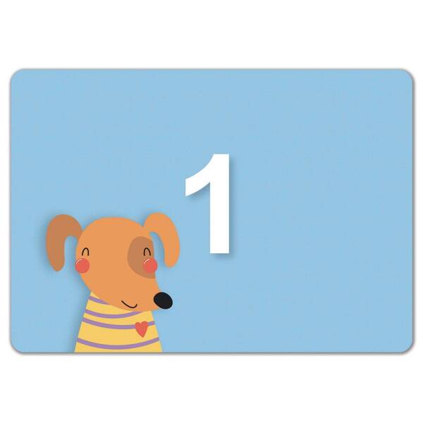 Школа Кенгуру. Ранній розвиток. Картки “Пиши-стирай”. Цифри та фігури