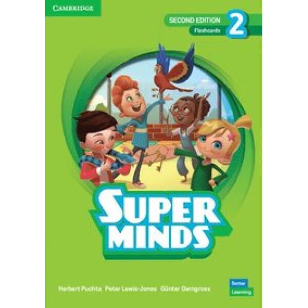 Super Minds  2nd Edition 2 Flashcards British English (pack of 214)