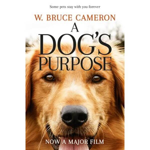 A Dog’s Purpose