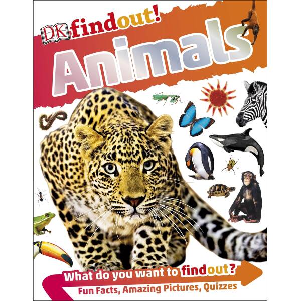 DKfindout!: Animals