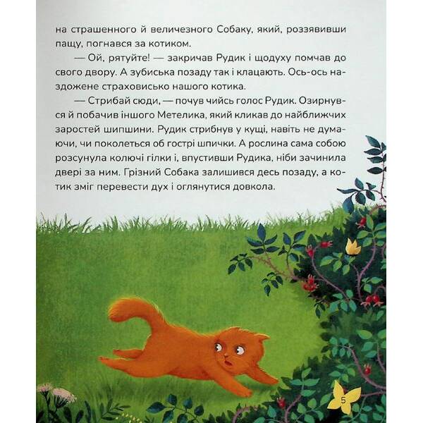 Пухнасті казочки: Збірка казок – Савченко В. – МАГУРА (124000)