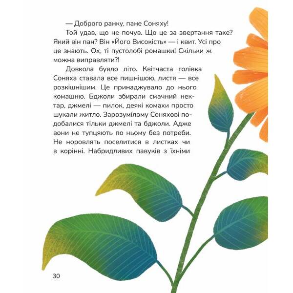 Вистрибеньки сонячних зайчиків. Збірка казок – Корній Д. – МАГУРА (122627)
