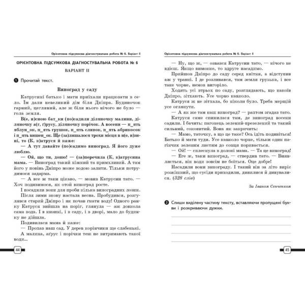 НУШ Підготовка до ДПА. 4 клас. Українська мова та читання. Орієнтовні підсумкові діагностувальні робот