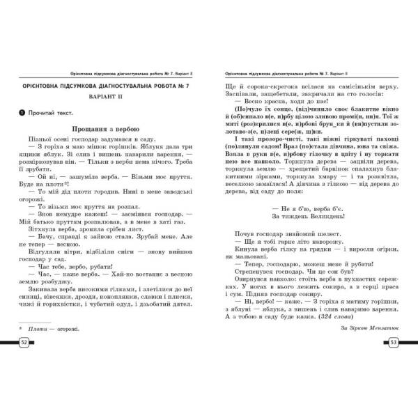 НУШ Підготовка до ДПА. 4 клас. Українська мова та читання. Орієнтовні підсумкові діагностувальні робот