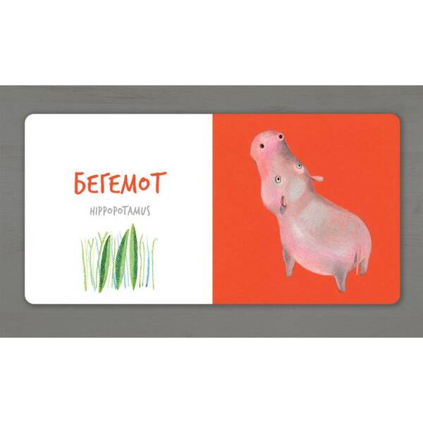 Збери веселку. Африканські тварини – Таберко Катерина – АРТБУКС (120521)