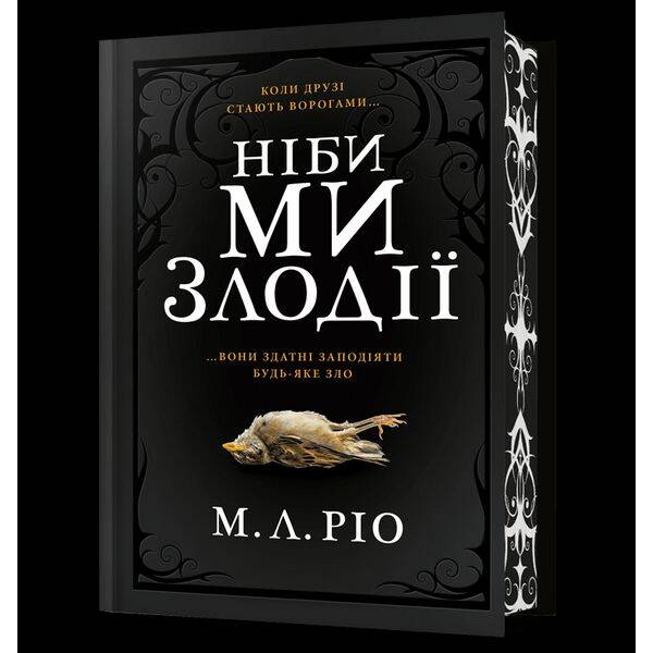 Ніби ми злодії LIMITED EDITION – Ріо М.Л. – АРТБУКС (122333)