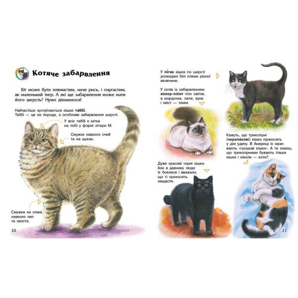 Енциклопедія дошкільника. Коти