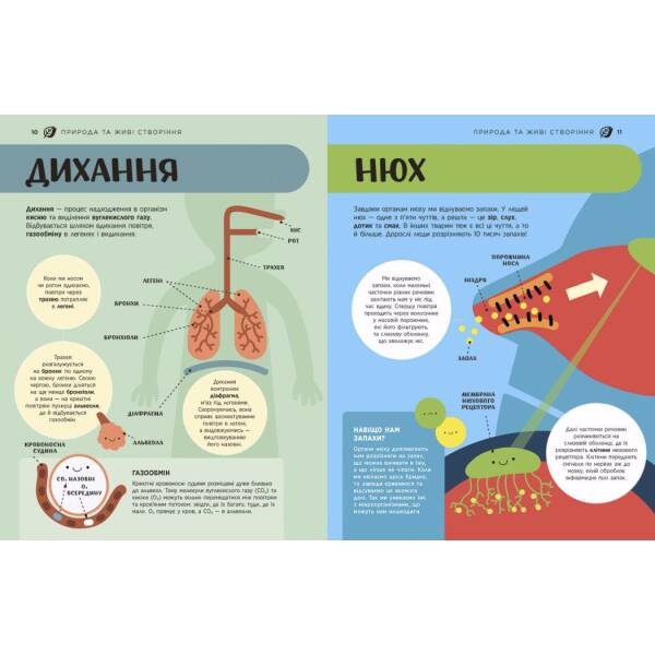 Енциклопедія STEM для дітей: 100 понять майбутнього генія