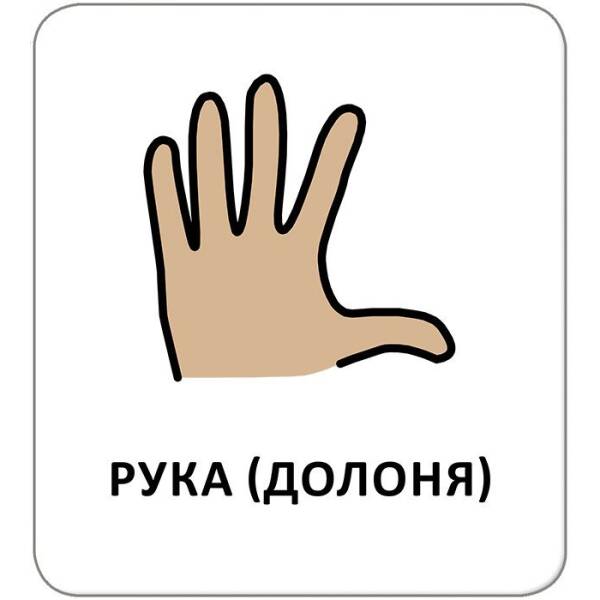 Картки з піктограмами. Гігієна. Моє тіло