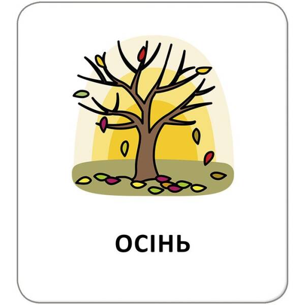 Картки з піктограмами. Природні явища. Пори року