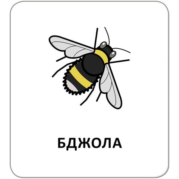 Картки з піктограмами. Тварини