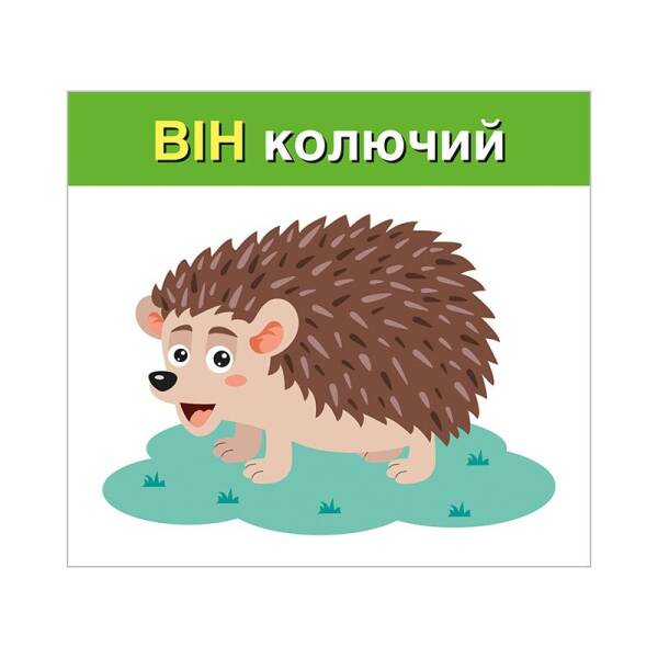 Вивчаємо займенники ВІН, ВОНА, ВОНО, ВОНИ (навчальні картки)
