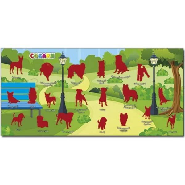 Хто де живе. Домашні улюбленці. Вишнева – ГЛОРІЯ