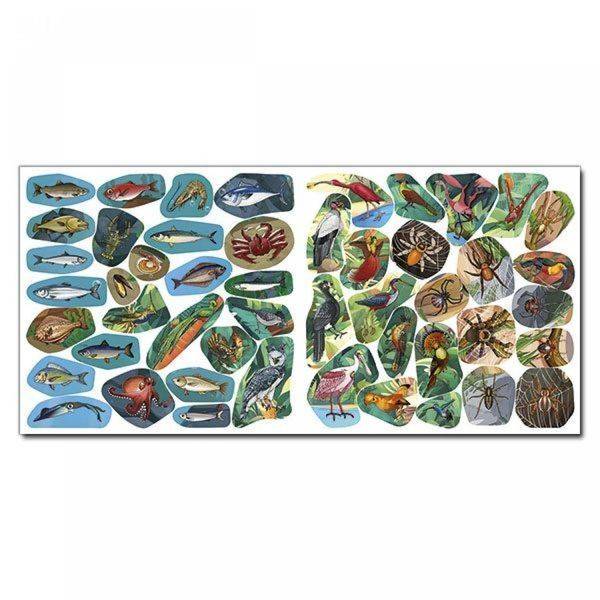 Хто де живе. Домашні улюбленці. Блакитна / ГЛОРІЯ