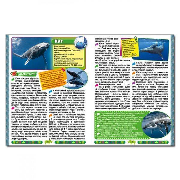 Велика енциклопедія про тварин. 9786175368084