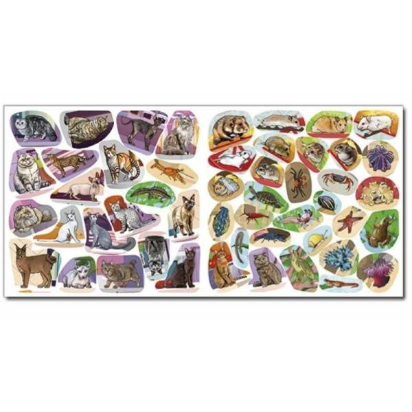 Хто де живе. Домашні улюбленці. Вишнева – ГЛОРІЯ