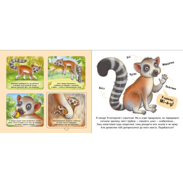 Познайомся і погладь. Тварини світу