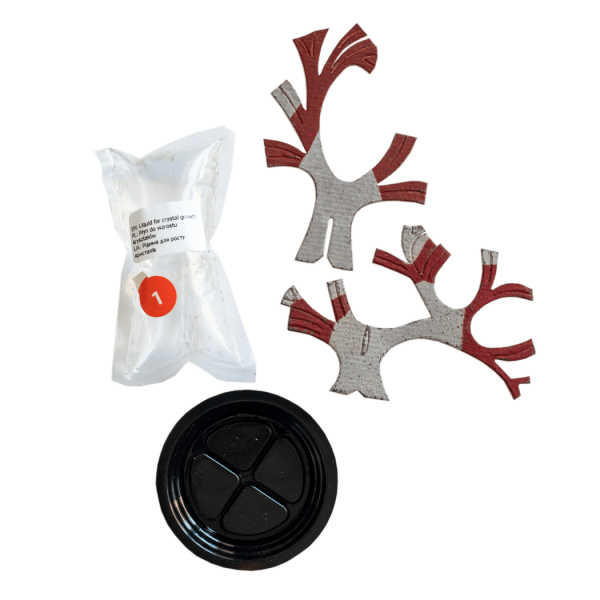 Набір для дослідів. Японський клен