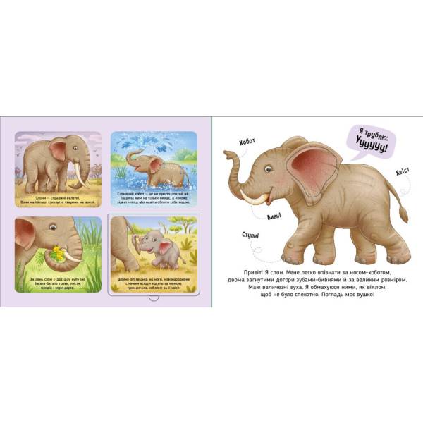 Познайомся і погладь. Тварини світу