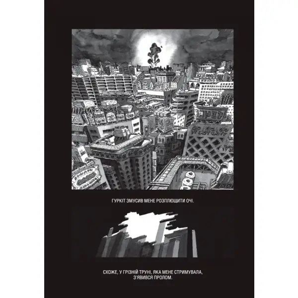 Бібліоманія