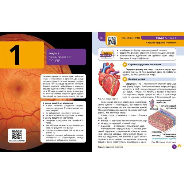 НУШ Природничі науки. 8 клас. Підручник