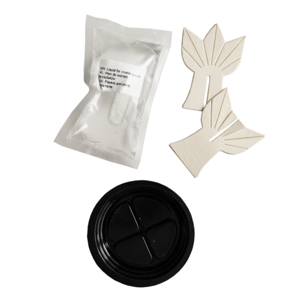 Набір для дослідів. Дерево в кристалах. Біле