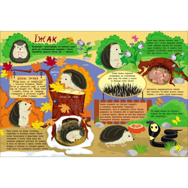 Таємне життя маленьких тварин