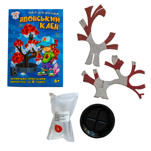 Набір для дослідів. Японський клен
