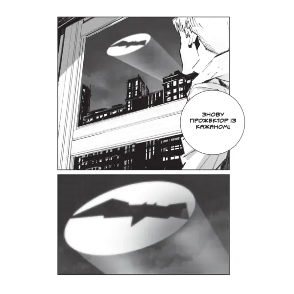 Бетмен. Руйнівник правосуддя. Том 1