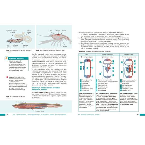 НУШ Біологія. 8 клас. Підручник