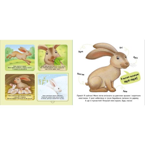 Познайомся і погладь. Лісові тварини