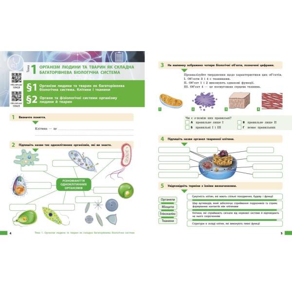 Біологія. Робочий зошит для 8 класу ЗЗСО