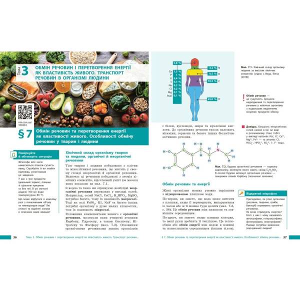 НУШ Біологія. 8 клас. Підручник