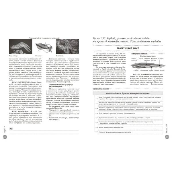 НМТ 2026. Біологія. Повний курс підготовки