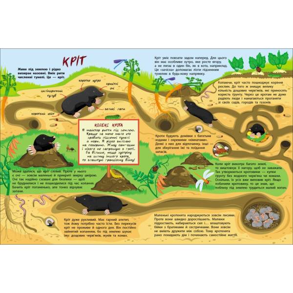 Таємне життя маленьких тварин