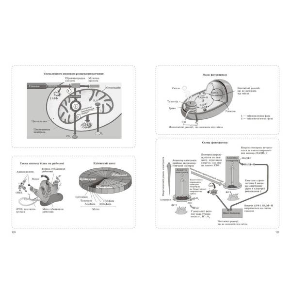 НМТ 2026. Біологія. Зошит для тестових робіт