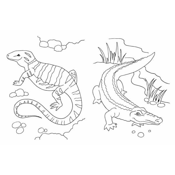 Велика книга розмальовок. Тварини