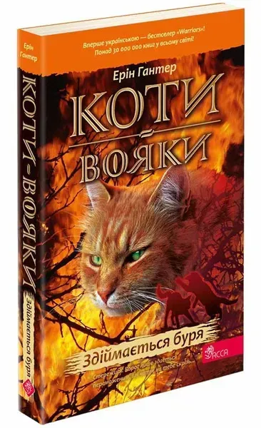 31218208694932.webp Коти - вояки. Книга 4. Здіймається буря (м'яка обкладинка) - АССА - Зображення 1