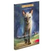 Коти-вояки. Манґа 6. Тигрозір і Саша. Втеча з лісу. Гантер Е. 9786178229344
