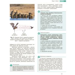 Біологія і екологія. Профільний рівень. Підручник. 10 клас