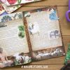 Бумажная фабрика (рос.)