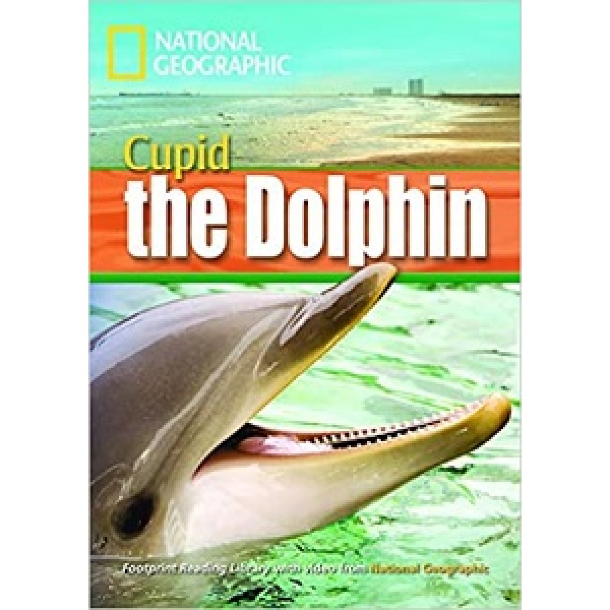 FRL1600 B1 Cupid the Dolphin with Multi-ROM