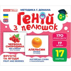 Геній з пелюшок. Фрукти та ягоди. Демонстраційний матеріал