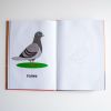 Книги Брайлем. Маленька собачка у пошуках великих сил