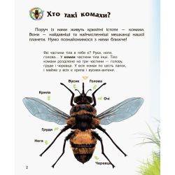Комахи. Енциклопедія дошкільника