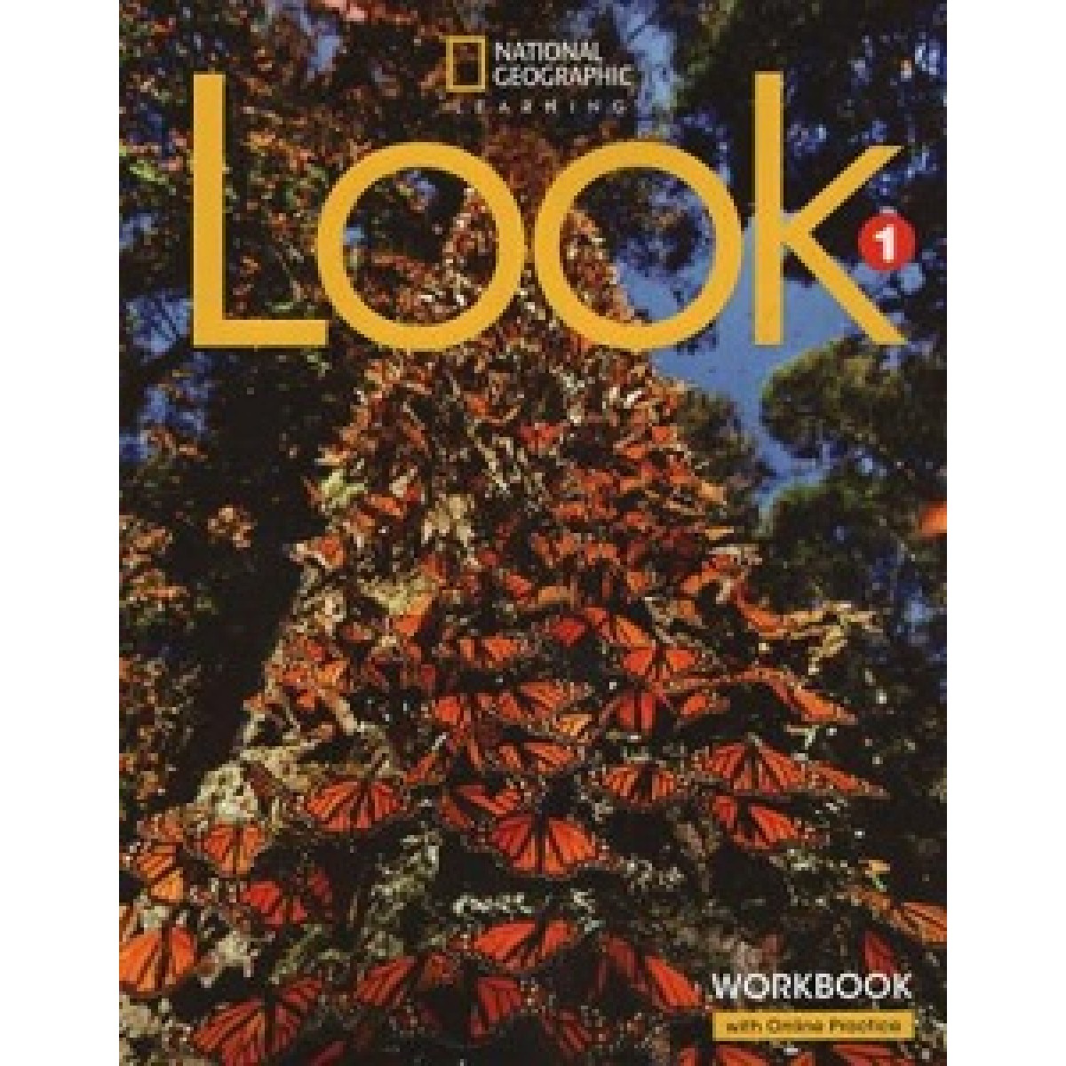 Look 1 WB with the Spark platform British English Look 1 WB with the Spark platform British English